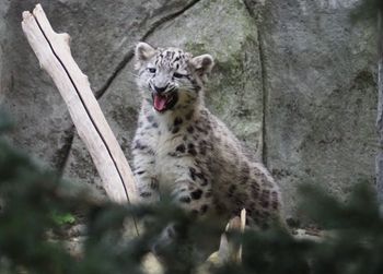 Pokazali zdjęcia. Jest apel. "Zachowajcie spokój"