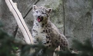 Pokazali zdjęcia. Jest apel. "Zachowajcie spokój"