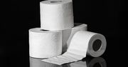 To koniec papieru toaletowego, jaki znamy?! Bruksela proponuje słomę