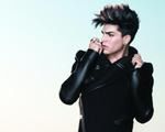 Adam Lambert chce być kochankiem Freddiego Mercury'ego