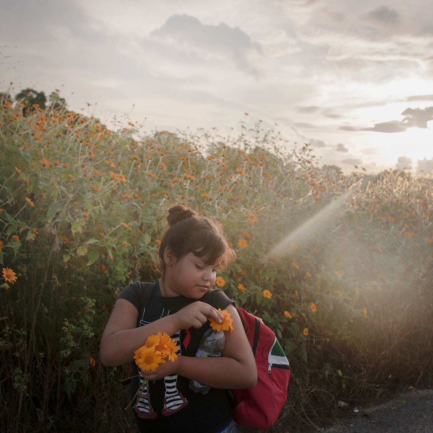 World Press Photo 2019 – znamy nominowanych fotografów 148