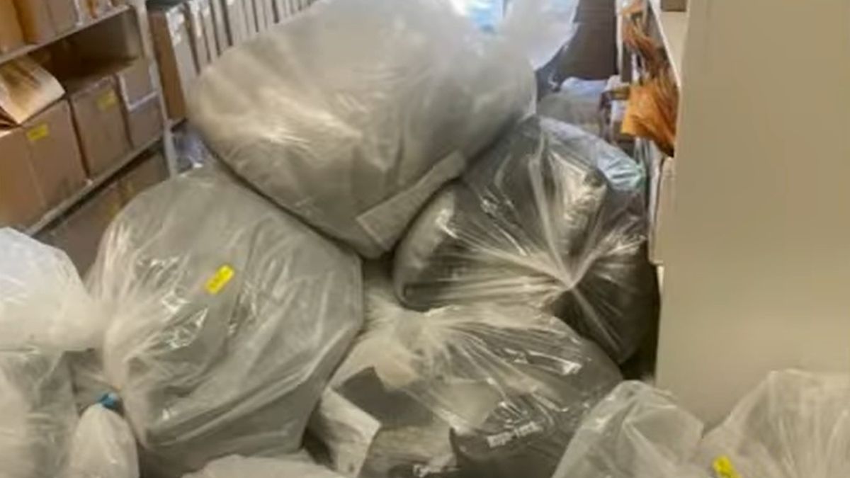 Szczury zaatakowały komisariaty w USA