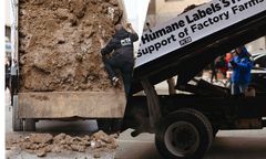 Przymarznięte odchody pokrzyżowały plany aktywistów