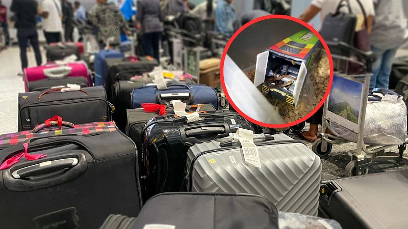 Węże w zabawkach dla dzieci. Celnicy od razu wezwali specjalistów