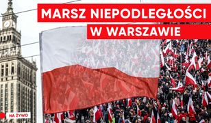 Święto Niepodległości. Program specjalny Wirtualnej Polski