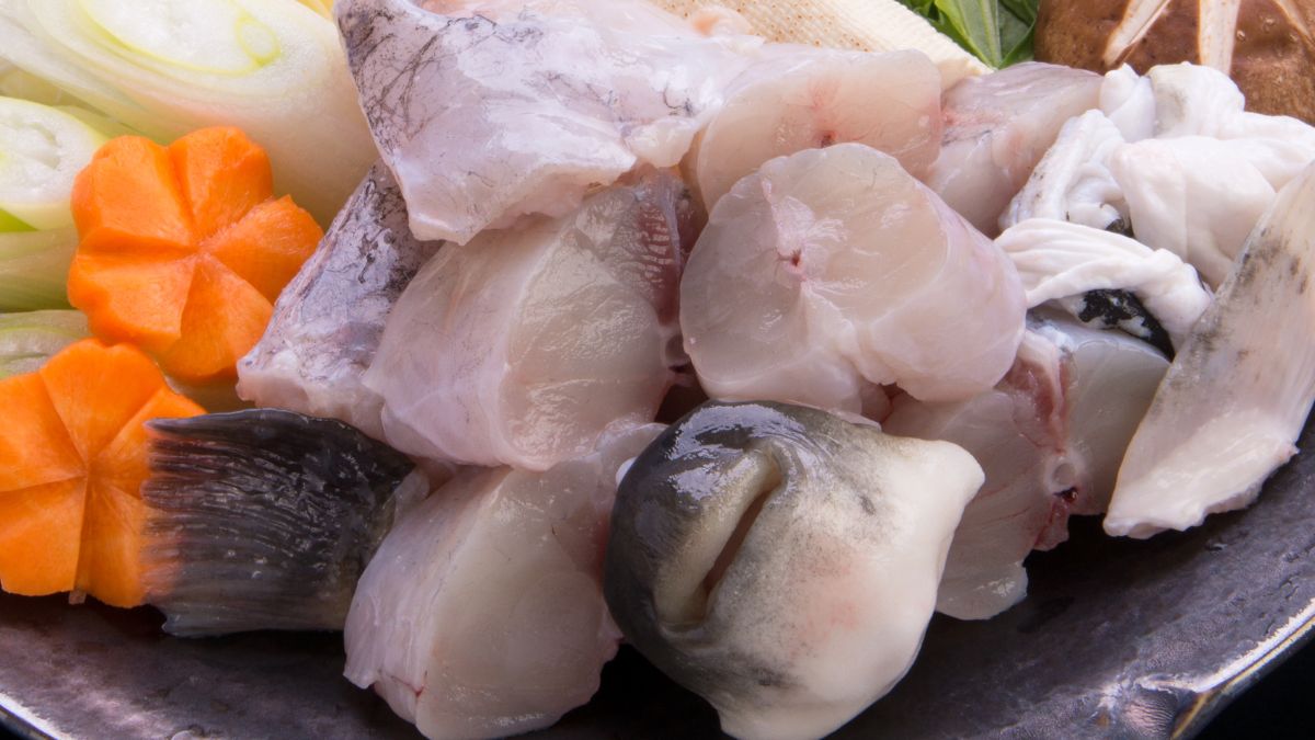 Ryba fugu - zabójczy przysmak z Japonii