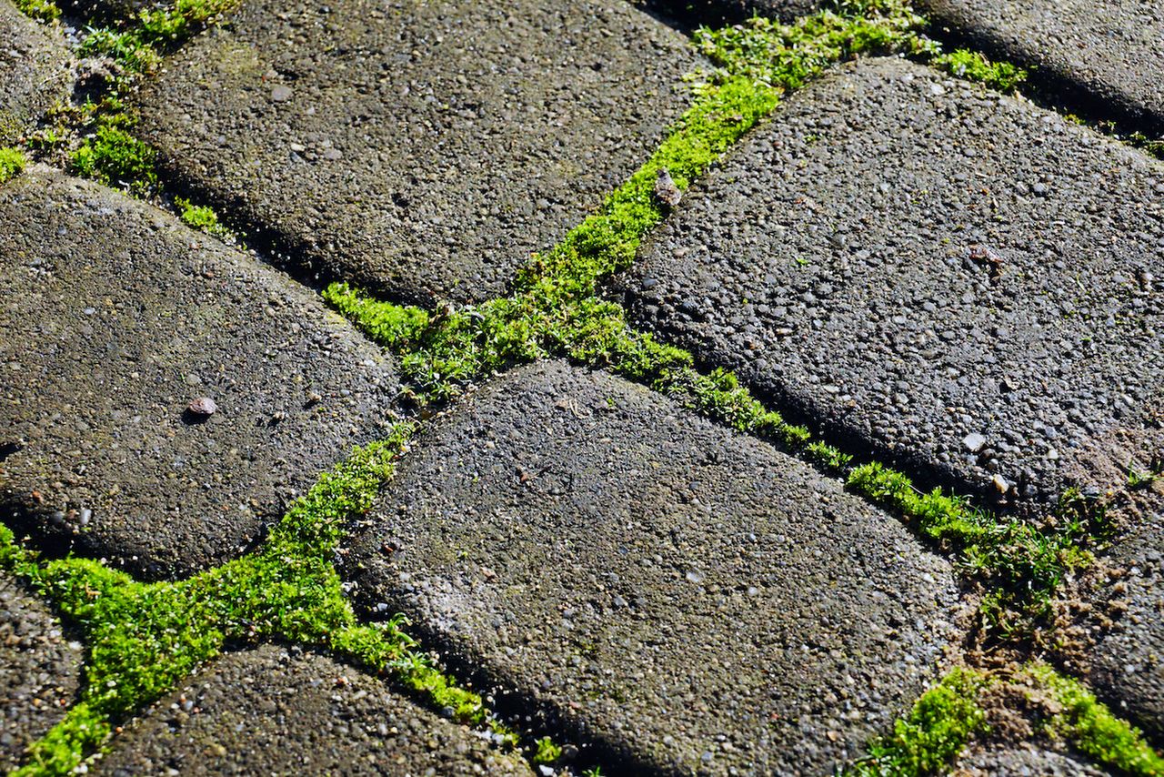 Czym zastąpić glifosat przy zwalczaniu chwastów?