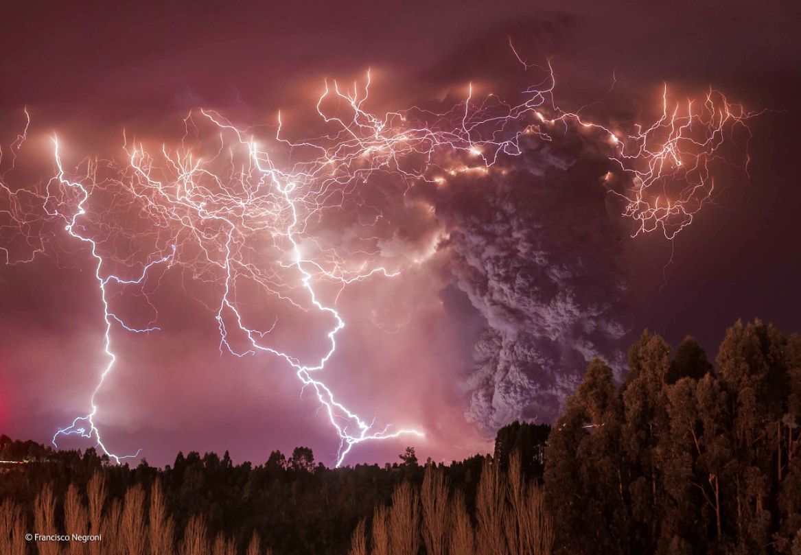 Zwycięzcy konkursu Wildlife Photographer of the Year 2014 17