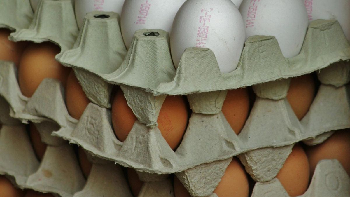 W Polsce i UE coraz bardziej odczuwalny jest brak jaj.