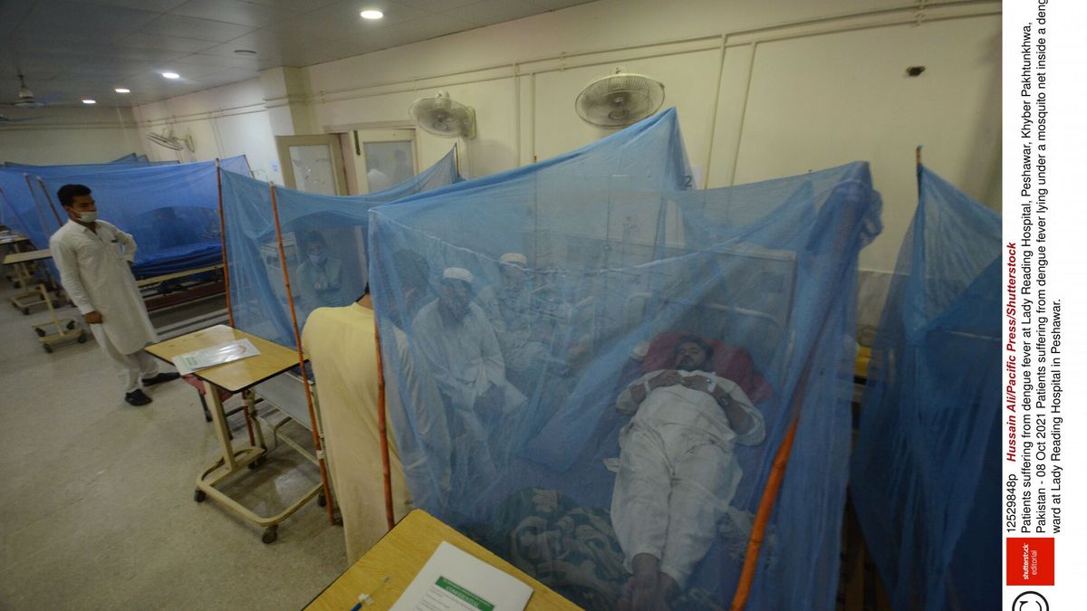 Zdjęcie okładkowe artykułu: East News / Hussain Ali/Pacific Press/Shutterstock / Pacjenci z gorączką denga w szpitalu w Pakistanie