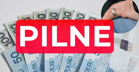 Ponad 900 tys. wniosków o rentę wdowią w ZUS – ruszają wypłaty