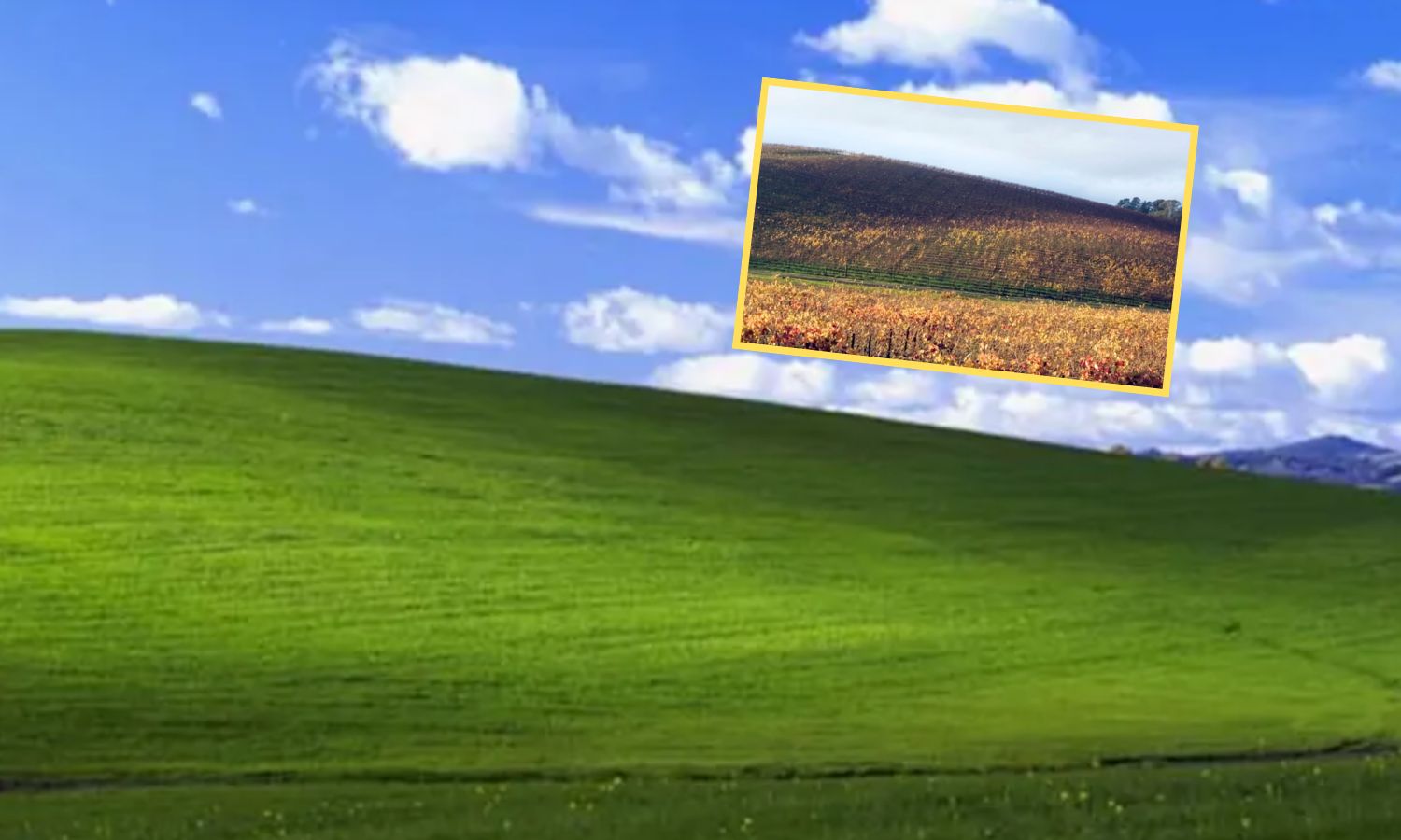 Była ikoną Windowsa. Tak dziś wygląda najsłynniejsza łąka na świecie
