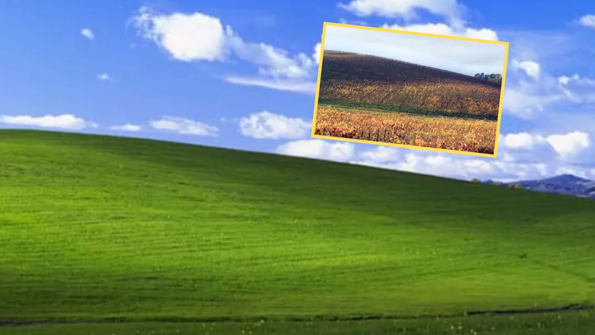 Tak obecnie wygląda popularna łąka