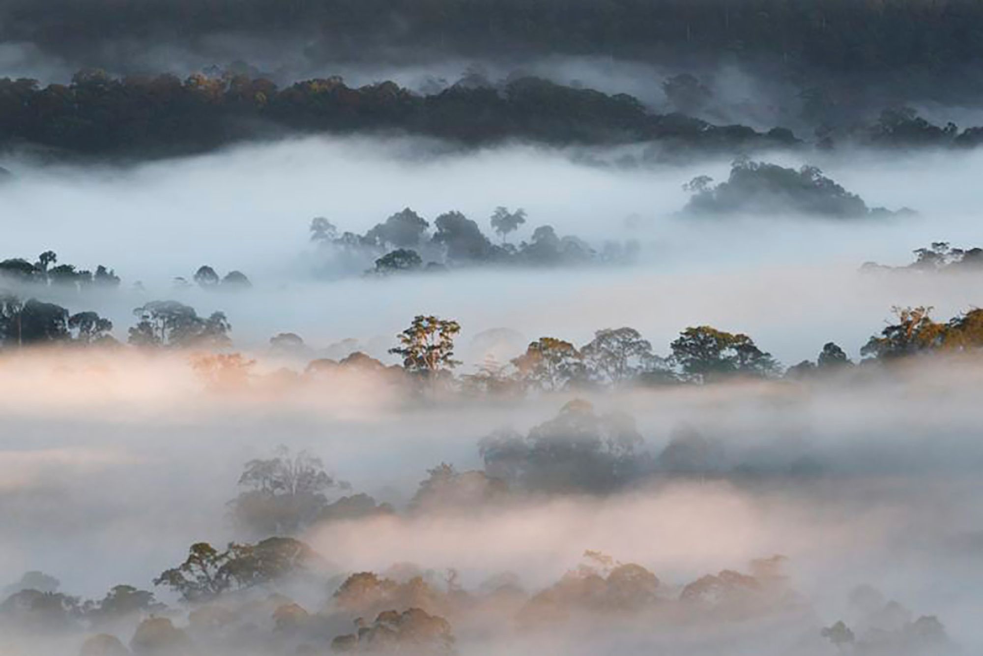 Wybrano najlepsze zdjęcia podróżnicze minionego roku. Oto zwycięzcy Travel Photographer of the Year 2019 20