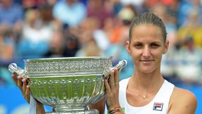 WTA Eastbourne: Karolina Pliskova nową mistrzynią, Czeszka powtórzyła osiągnięcie Jany Novotnej