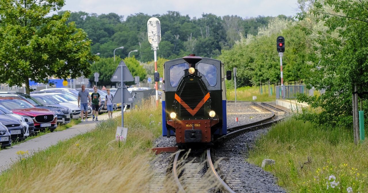 Poznań: Zabytkowe tramwaje, legendarne autobusy i kultowa Maltanka. MPK Poznań zaprasza na weekendową podróż. Sprawdź szczegóły!
