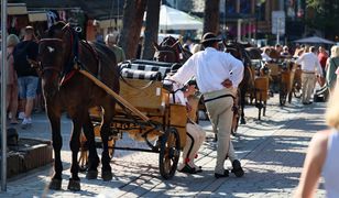 Potrafisz dogadać się z góralem? Sprawdź, jak dobrze znasz podhalańską gwarę