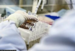 Nowy koronawirus odkryty w Indiach. Jest podwójnie zmutowany