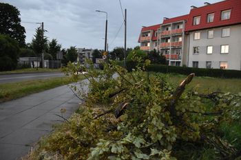 Porywisty wiatr w powiecie malborskim. Najwięcej interwencji na Pomorzu było właśnie tutaj