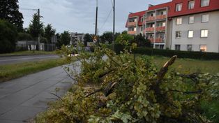 Porywisty wiatr w powiecie malborskim. Najwięcej interwencji na Pomorzu było właśnie tutaj