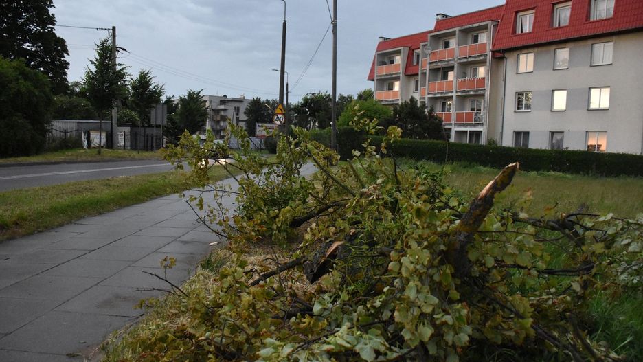 Porywisty wiatr w powiecie malborskim