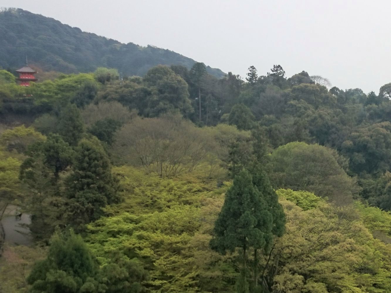 Xperia Z1 Compact vs stare sony ericssony - zaskakujące wyniki fotoporównania 14