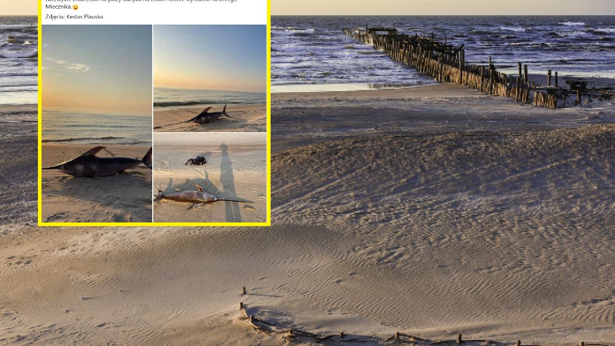 Niezwykłe odkrycie na litewskiej plaży