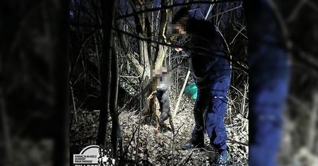 Lublin: Ktoś powiesił psa na drzewie. Trwają poszukiwania sprawcy