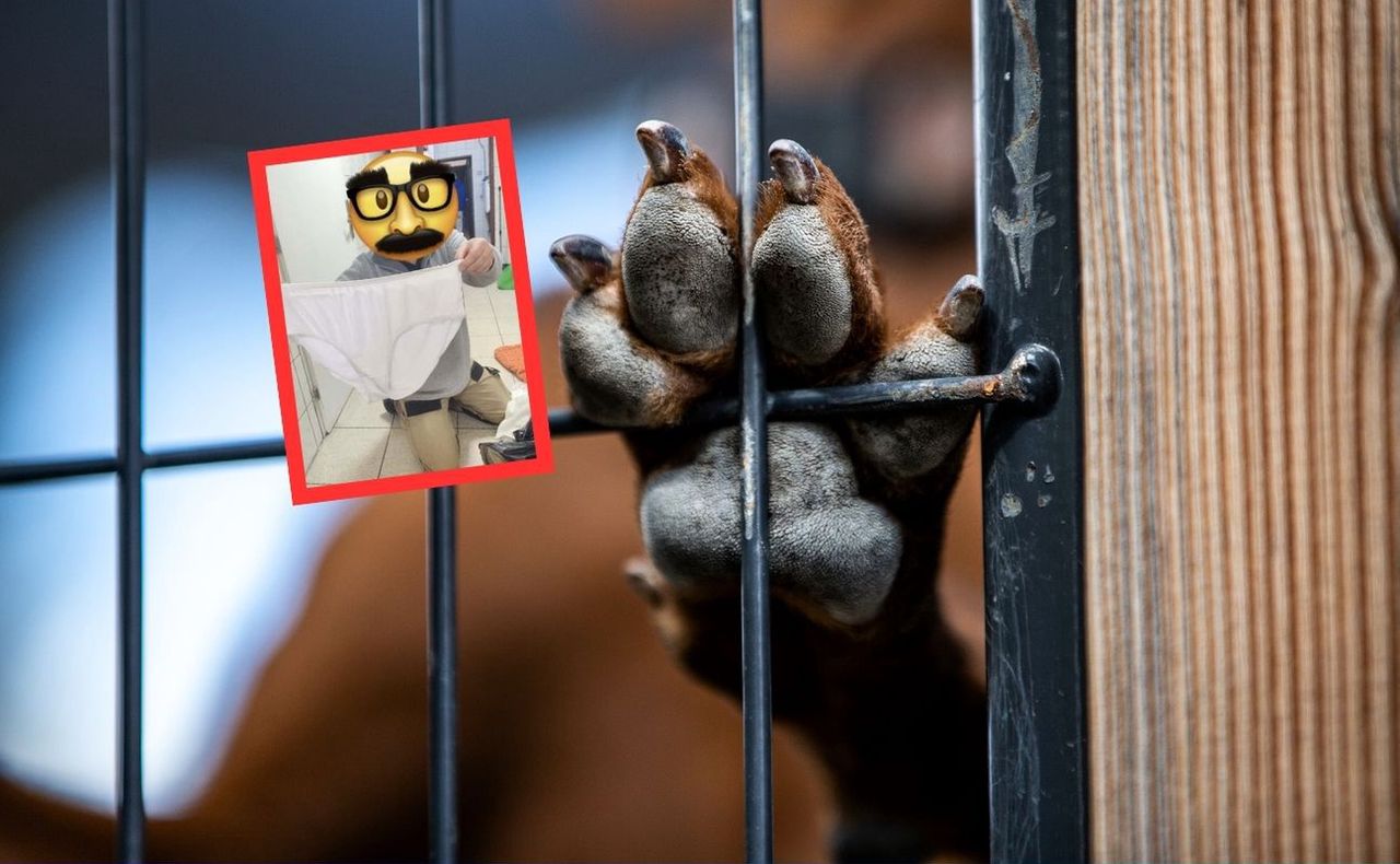 Schronisko w Chorzowie pokazało niecodzienny "dar" 