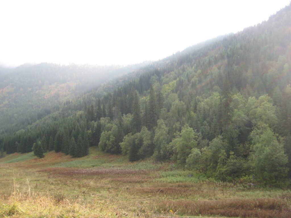 Dolina Małej Łąki