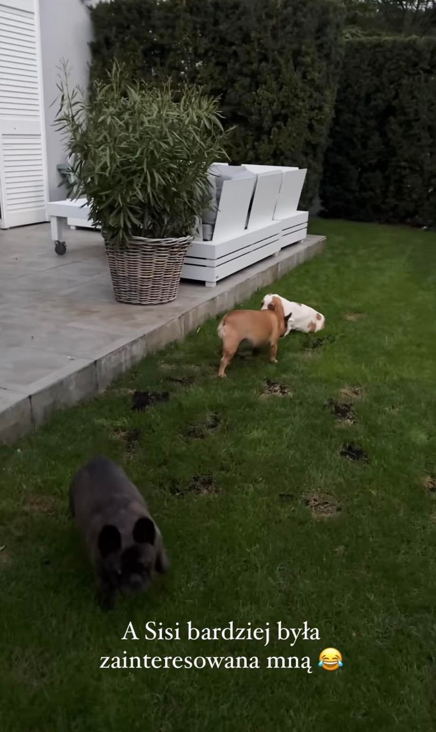 William z Gangu Majdana