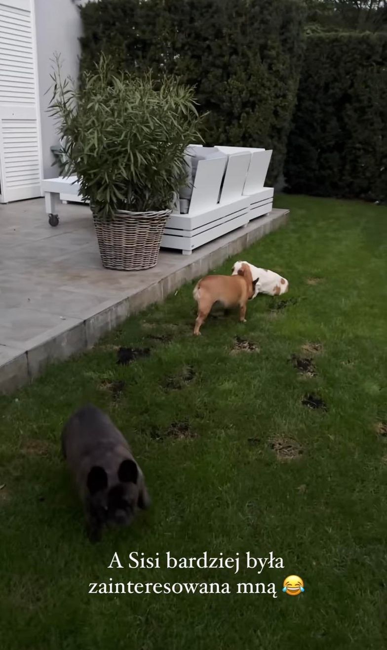 Nowy członek Gangu Majdana - William