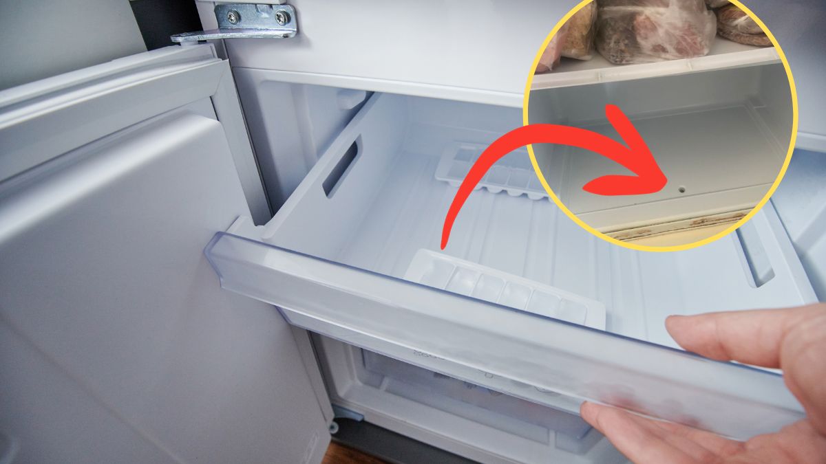 Zamrażalnik posiada funkcję, o której nie wszyscy wiedzą