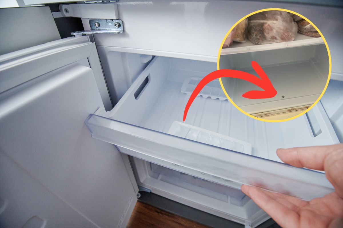 Unassuming freezer feature could save you money and electricity: don't overlook it