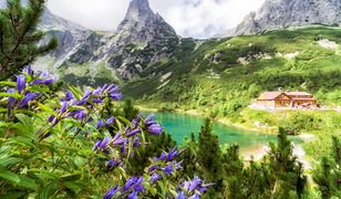 Słowacja. Nowe restrykcje w Tatrach. Niezaszczepieni nie zjedzą w schroniskach