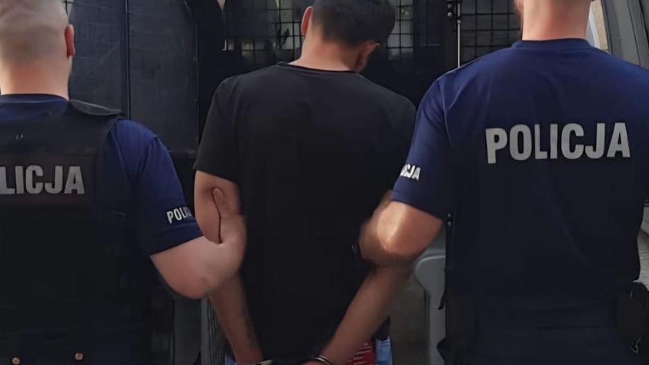 Fot. Licencjodawca