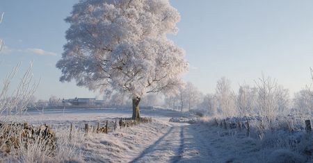 Polska w arktycznym uścisku: -32°C w nocy i jeszcze zimniej przed nami – rekordy mrozu biją się same