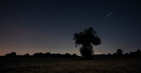 Lirydy 2024. Nadchodzi noc spadających gwiazd. Kiedy obserwować rój meteorów?
