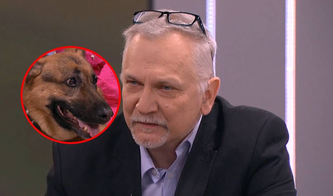 Dzień Dobry TVN