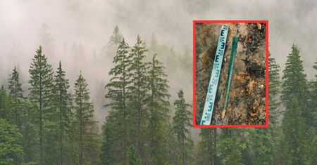 Archeologiczna sensacja na Pomorzu. Przetrwał 2700 lat pod ziemią