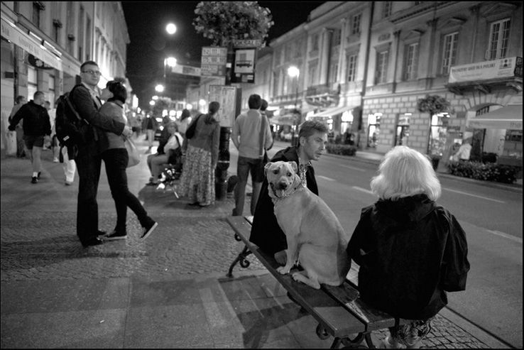 „Dog Stories" - pieskie życie na czarno-białych fotografiach Roberta Kresy 11