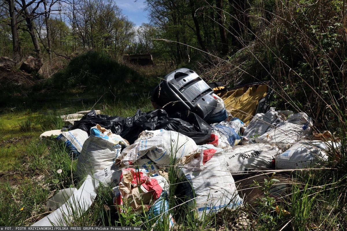 Kara za wyrzucenie śmieci w lesie. Zastanie je przed domem (zdjęcie ilustracyjne)