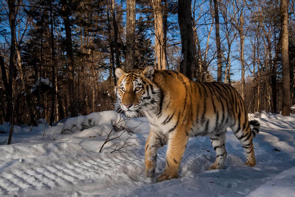 Cezary Filew wyróżniony w konkursie Travel Photographer of the Year 2017 35