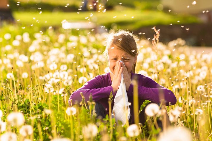 Alergie – narastający problem współczesnego świata