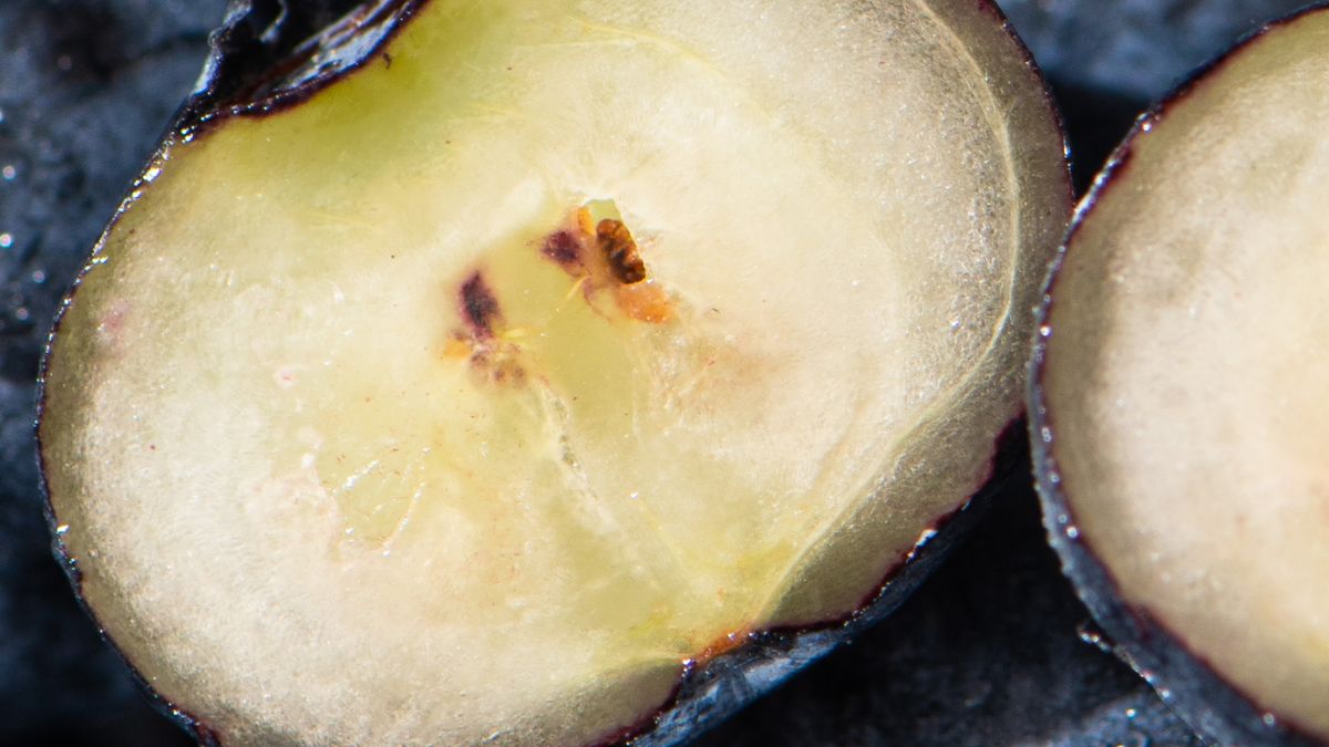 Borówki świetnie wpływają na organizm