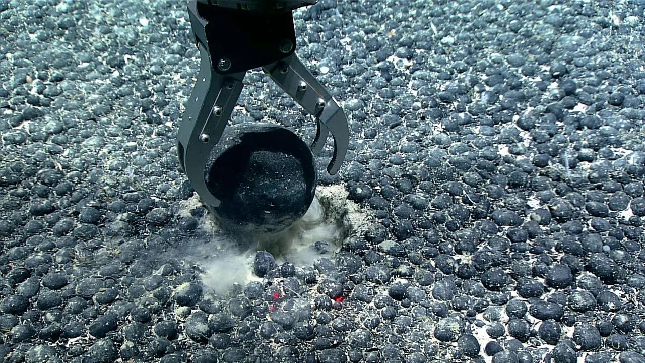 Scientists are astonished by the latest discovery from the ocean floor