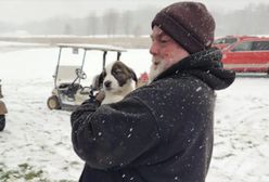 53 psy przeżyły katastrofę samolotu. Szukają nowego domu