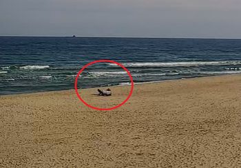 Była 9:21. Pusta plaża i samotny parawan. Ujęcie znad Bałtyku
