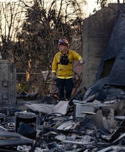 Znaleźli przyczynę pożarów w Los Angeles? Media o awarii sieci