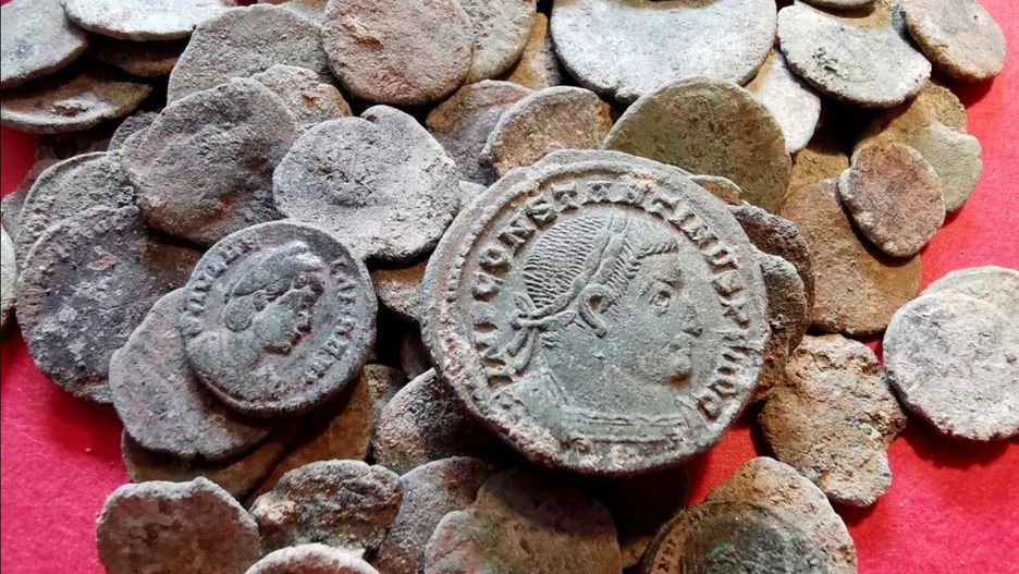 Borsuk odkopał monety sprzed 1800 lat